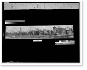 Black & White Photo - Boston, Massachusetts - Common #1