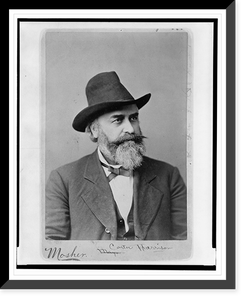 Historic Portrait - Carter Harrison, head-and-shoulders portrait