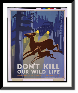 Historic Framed Print, Don't kill our wild life - 2,  17-7/8" x 21-7/8"
