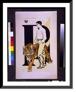 Antique Photo Print - Student standing alongside tiger.John Weston