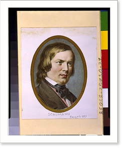 Vintage Portrait - Robert Schumann, bust portrait, facing right (2)