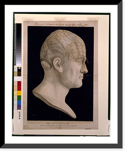 Dr. Spurzheim. divisions of the organs of phrenology marked externally - 2, Antique Print