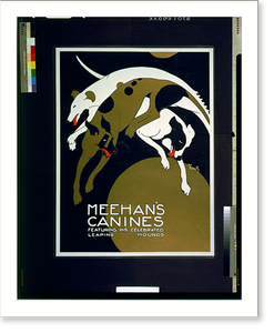 Historic Photo Print - Meehan's canines Featuring his celebrated (2)