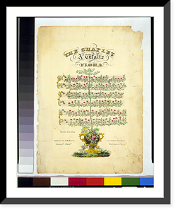 The chaplet, a waltz by Flora.Kennedy & Lucas lithography, Philada, Vintage Wall Art