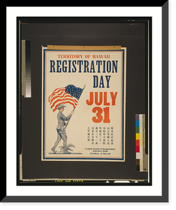 Territory of Hawaii registration day July 31 - 2, Vintage Wall Art