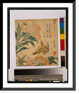 Historic Framed Print, Shakuyaku kana ari,  17-7/8" x 21-7/8"