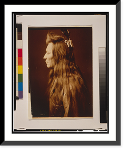 Historic Framed Print, Black Eagle. profile - 2,  17-7/8" x 21-7/8"