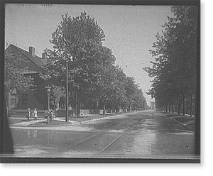 Vintage Photo Print - Walkerville, Ont., Devonshire Road, looking south