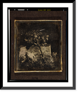 Still life with tree and two small, stuffed mammals, Vintage Wall Art