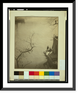 Historic Framed Print, [Design in nature].Photograph by E. R. Dickson, N.Y.C.,  17-7/8" x 21-7/8"