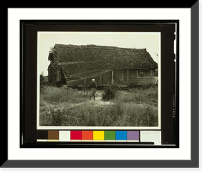 Ex-slave with a long memory, Alabama Classic, Antique Wall Art