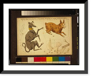 Historic Framed Print, Canis Major, Lepus, Columba Noachi & Cela Sculptoris.Sidy. Hall, sculpt.,  17-7/8" x 21-7/8"