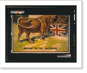 Antique Photo Print - I hear they want more Bovril (2)