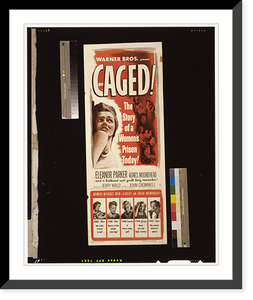Historic Framed Print, Caged,  17-7/8" x 21-7/8"