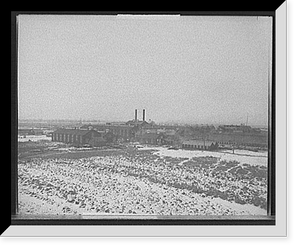 (LTOR) Misses: Deacosta . Stillman . Whitney . Motley . Proctor, Historic Print