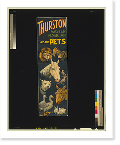 Historic Photo Print - Thurston, master magician and his pets