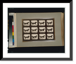 Historic Framed Print, Horses. Trotting - 13,  17-7/8" x 21-7/8"