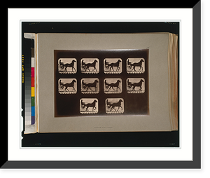 Historic Framed Print, Horses. Irregular - 12,  17-7/8" x 21-7/8"