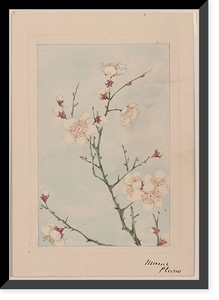 Historic Framed Print, [Japanese drawing] - 194,  17-7/8" x 21-7/8"