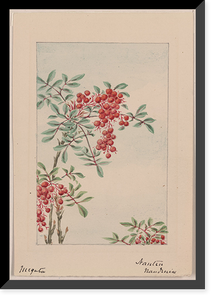 Historic Framed Print, [Japanese drawing] - 197,  17-7/8" x 21-7/8"