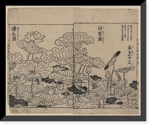 Historic Framed Print, [Japanese Ukiyo-e print] - 264,  17-7/8" x 21-7/8"