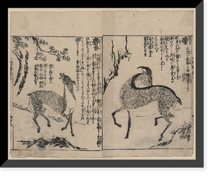 Historic Framed Print, [Japanese Ukiyo-e print] - 269,  17-7/8" x 21-7/8"