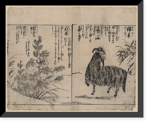 Historic Framed Print, [Japanese Ukiyo-e print] - 274,  17-7/8" x 21-7/8"