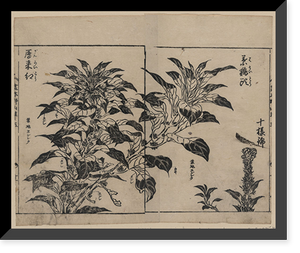 Historic Framed Print, [Japanese Ukiyo-e print] - 280,  17-7/8" x 21-7/8"