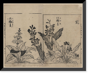 Historic Framed Print, [Japanese Ukiyo-e print] - 281,  17-7/8" x 21-7/8"