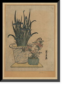 Historic Framed Print, [Japanese Ukiyo-e print] - 497,  17-7/8" x 21-7/8"