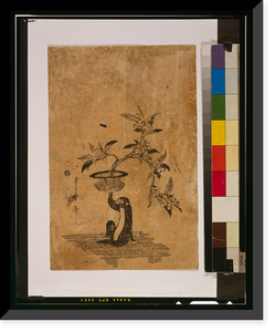 Historic Framed Print, [Japanese Ukiyo-e print] - 1252,  17-7/8" x 21-7/8"