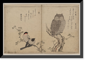 Historic Framed Print, [Japanese Ukiyo-e print] - 1303,  17-7/8" x 21-7/8"