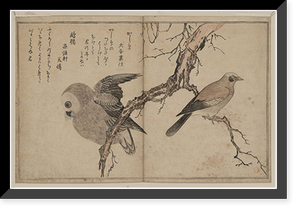 Historic Framed Print, [Japanese Ukiyo-e print] - 1304,  17-7/8" x 21-7/8"