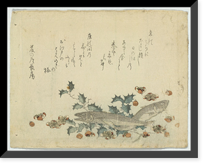 Historic Framed Print, [Japanese Ukiyo-e print] - 1343,  17-7/8" x 21-7/8"