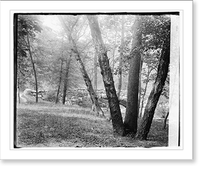 Antique Scenic Print - Rock Creek Park - Antique Wall Decor Print