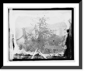 Historic Framed Print, Horse Christmas Tree, 1919,  17-7/8" x 21-7/8"