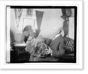 Black & White Photo - Herbert J. Drane (Fla.) - Antique Wall Decor Print