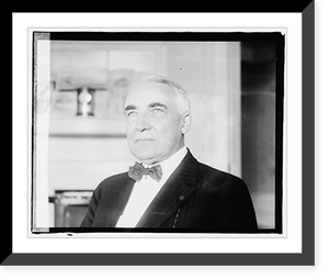 Warren G. Harding - 30, Vintage Poster