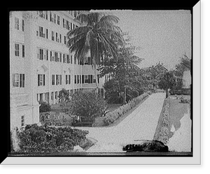 Historic Framed Print, Walk and gardens, the Royal Poinciana [Hotel], Palm Beach, Fla. - 2,  17-7/8" x 21-7/8"