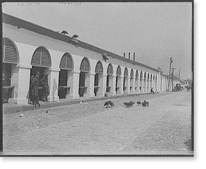 Vintage Americana Print - Charleston - Central market & buzzards, S.C