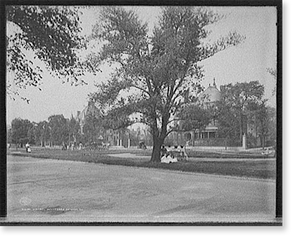 Antique City View - Chicago, Illinois - Drexel Boulevard
