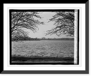 Lincoln Memorial through Cherry trees, 4/11/23 Classic, Vintage Poster