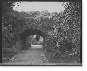 Vintage Landscape - Buffalo - Ivy arch bridge in Delaware Park, N.Y