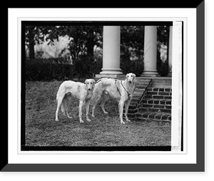 Historic Framed Print, Mrs. Robt. Watson's dogs, 1/26/24,  17-7/8" x 21-7/8"