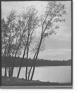 Vintage Landscape - St. Paul, Minnesota - Sunset, Como Lake Lake Como