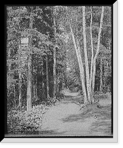 Historic Framed Print, A Presque Isle [Park] roadway, Marquette, Mich.,  17-7/8" x 21-7/8"