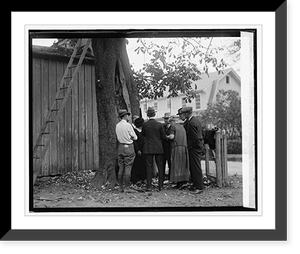 Black & White Photo - Virginia - Horse Chestnut tree planted, 1925