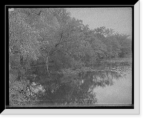 Historic Framed Print, Trees along Lake Waban, Wellesley College, Mass.,  17-7/8" x 21-7/8"