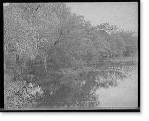 Vintage Building Photo - Wellesley College, Massachusetts - Trees along
