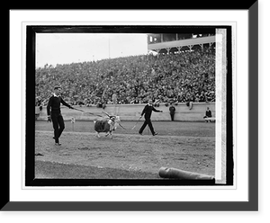 Navy mascot, Navy - Princeton game at Balt. Md., 10/17/25 Classic, Antique Wall Art